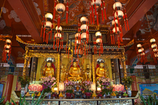 Hong Kong Po Lin Monastery cruise excursion